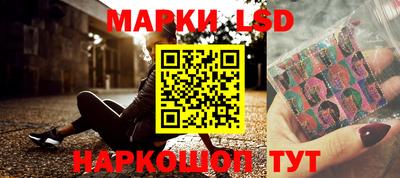 гашик Берёзовский