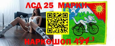 гашик Берёзовский