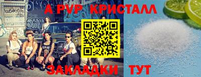 гашик Берёзовский