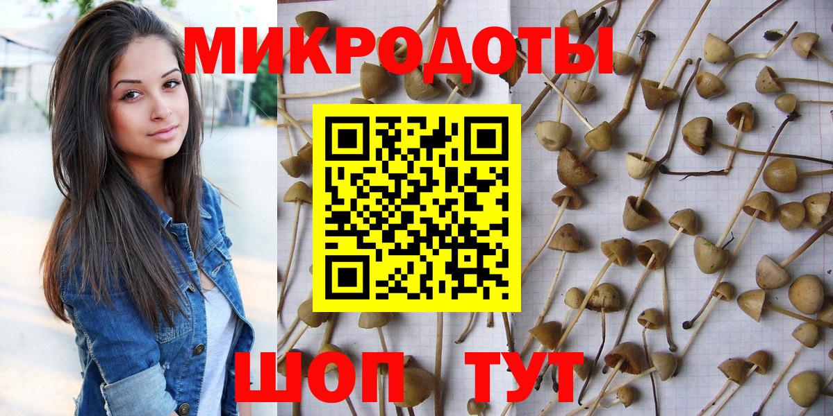 Киселёвск  Галлюциногенные грибы мухоморы  Вход с VPN 